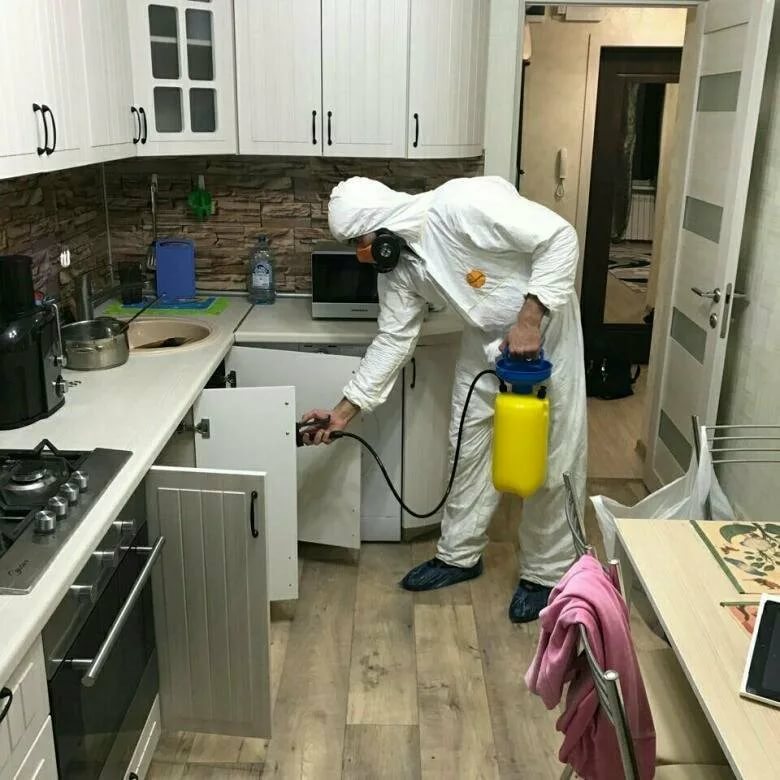 Уничтожение тараканов в однокомнатной квартире в Москве